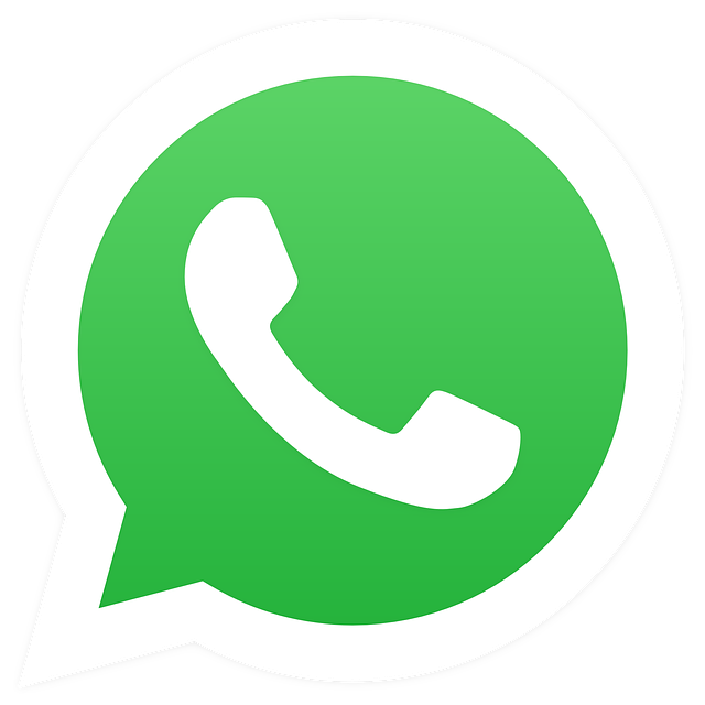 whatsapp icone white phone on green